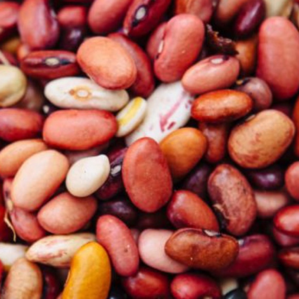 Meet your Posher, Queer bean